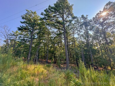 7 Moonshine Dr, Clayton, OK 74536 - photo 7