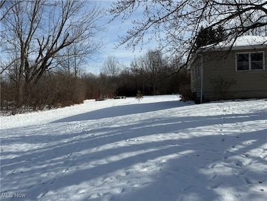 11166 Loris Ave, Aurora, OH 44202 - photo 5