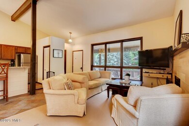 225 Gopher Road Avon CO - Web Quality -