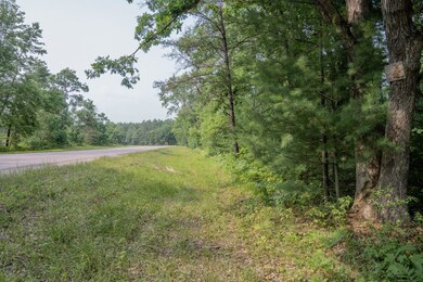 W8878 Cranberry Creek, New Lisbon, WI 53950 - photo 3