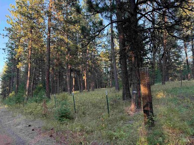 TBD Harlow Ridge Rd - Cloverland Estates 27, Asotin, WA 99402 - photo 3