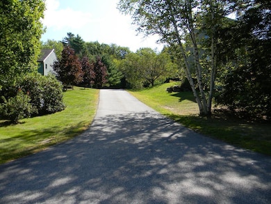 Bluff 3