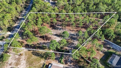 4256 N Amarillo Dr, Beverly Hills, FL 34465 - photo 5