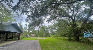 IMG_4113