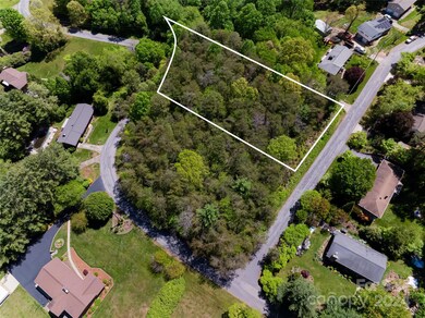 Lots #10 & 11 Holly Hill Ct, Asheville, NC 28806 - photo 3