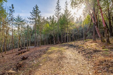 1224 W Jones Creek Rd unit Lot 2, Grants Pass, OR 97526 - photo 5