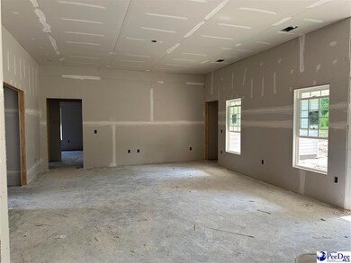 480 Cane Branch Rd, Loris, SC 29569 - photo 4