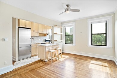 137 Peterborough St unit 21, Boston, MA 02215 - photo 5