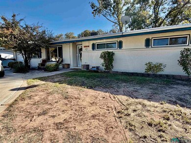 1215 Bryan Cir, Carlsbad, NM 88220 - photo 3