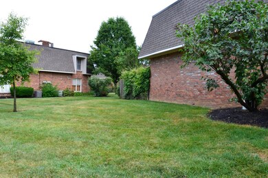 Green Space