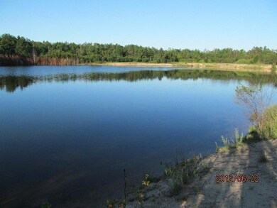 Sand bottom and sand beaches