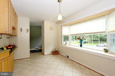 4518 Bestor Dr, Rockville, MD 20853 - photo 5