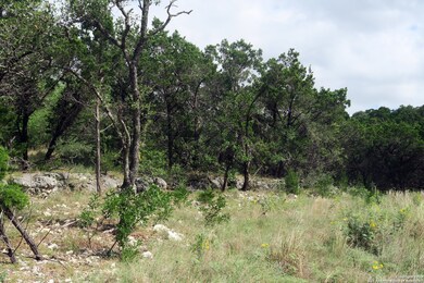 20810 Purple Finch, San Antonio, TX 78256 - photo 3