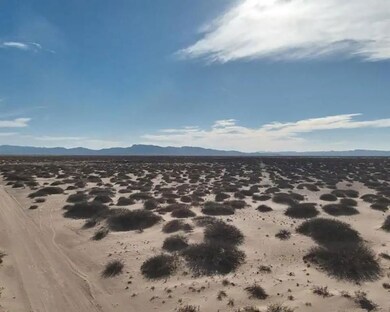 Mosley Rd, Fort Hancock, TX 79839 - photo 4