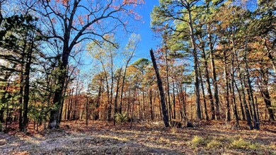 14 Big Bear Rd, Flint Creek, OK 74347 - photo 7