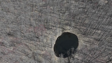 0 Elker Rd, Humbird, WI 54746 - photo 4