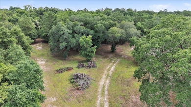 4013 McCall Bridge Rd, Quincy, FL 32351 - photo 5