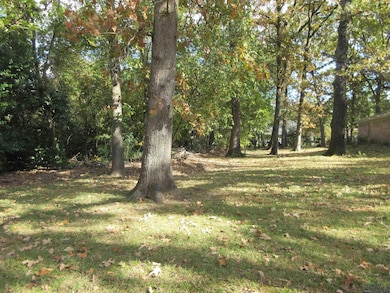 2308 Tennessee St, Longview, TX 75605 - photo 3