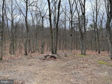 9.50 AC Bird Ridge Rd, Springfield, WV 26763 - photo 7