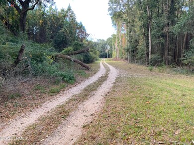 33 Pearl Harbor Dr, Seabrook, SC 29940 - photo 4