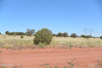 June photos 011