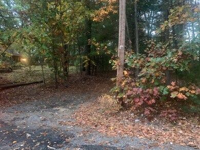 5B Seymour St, Concord, MA 01742 - photo 5