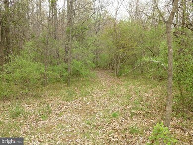 0 Woodgrove Rd unit 1000605131, Round Hill, VA 20141 - photo 5