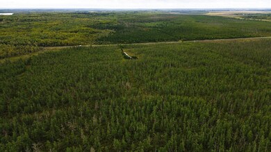 TBD State Highway 210 W, McGregor, MN 55760 - photo 6