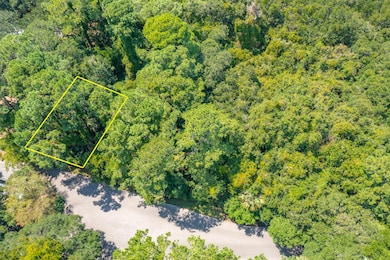 2160 Royal Pine Dr, Seabrook Island, SC 29455 - photo 2