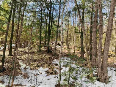 00 Kurn Hattin Rd, Westminster, VT 05158 - photo 4