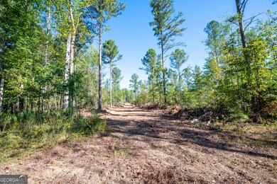 3785 Hwy 140 NE, Rydal, GA 30171 - photo 3