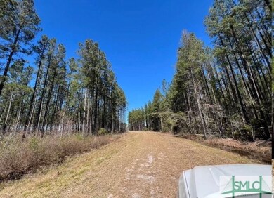 1 Rye Patch Rd NE, Ludowici, GA 31316 - photo 3