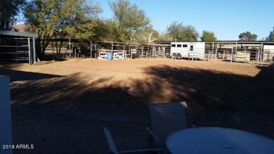 Arena & Stalls