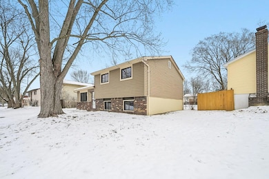 4-web-or-mls-Halpern St-004
