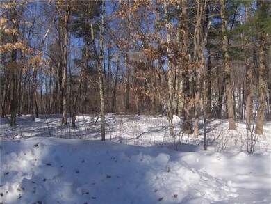 Lot 38 & 39 Thunderbird Dr, Jackson, WI 54830 - photo 2