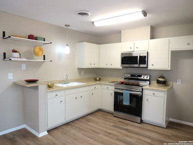 103 W Outer Dr, Canyon Lake, TX 78133 - photo 3