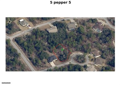 5 Pepper Ct, Homosassa, FL 34446 - photo 5