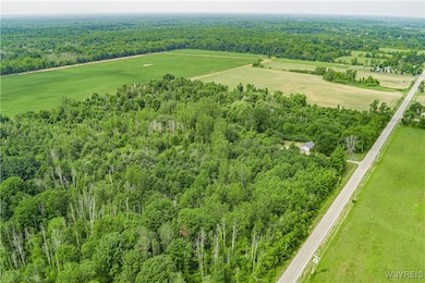 V/L Coleman Rd, Somerset, NY 14012 - photo 5