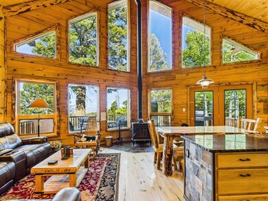 160 Crest Dr, Cimarron, CO 81220 - photo 3