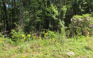 Additional View