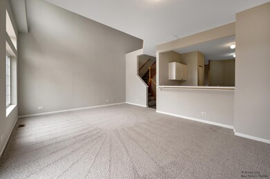 972 Mesa Dr, Lake In the Hills, IL 60156 - photo 4