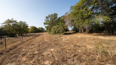 TBD TRACT 8 Cedar Rock Rd, Rosanky, TX 78953 - photo 5