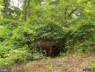 741 Jacks Mountain Rd, Fairfield, PA 17320 - photo 4