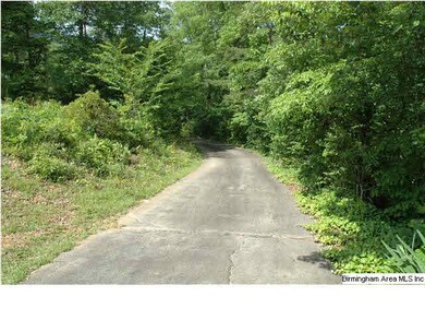 Private paved drive leads to this very private sce