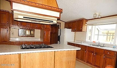 149 Jeff Murphy Ln, Magnolia, NC 28453 - photo 3