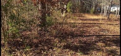 500 R Tram - Left Side - Front, Traskwood, AR 72167 - photo 5