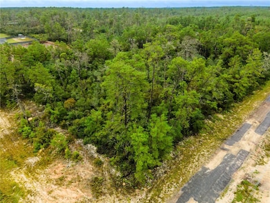 8109 N Wayside Ave, Dunnellon, FL 34433 - photo 3