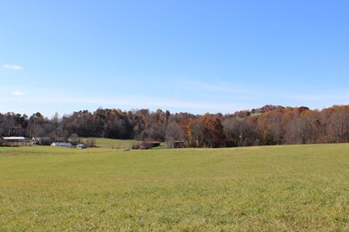 IMG_8337