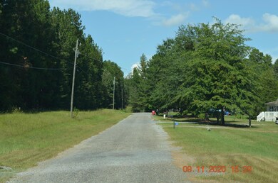 369 N Baker Rd, Macon, GA 31211 - photo 3