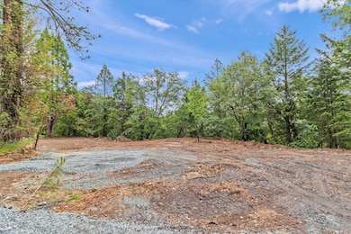 03-2670 Robertson Bridge Rd-3